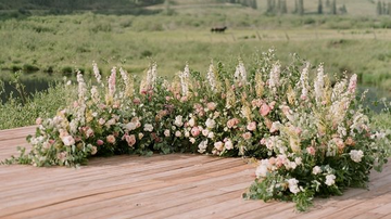 Fleurs sauvages 