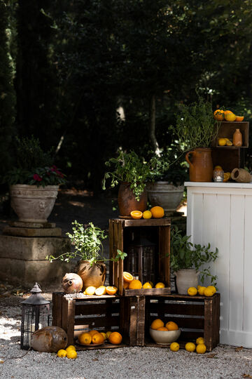 Mariage à l'ombre des arbres - Aix-en-Provence