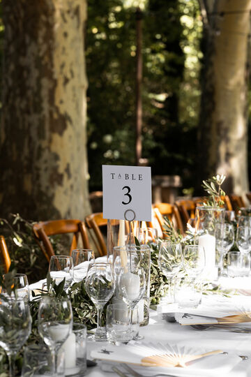 Mariage à l'ombre des arbres - Aix-en-Provence