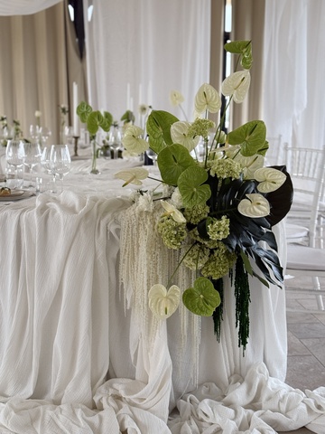 Séance photo de fleurs au Domaine Puech Haut : une mise en scène florale à couper le souffle à Saint Drézery