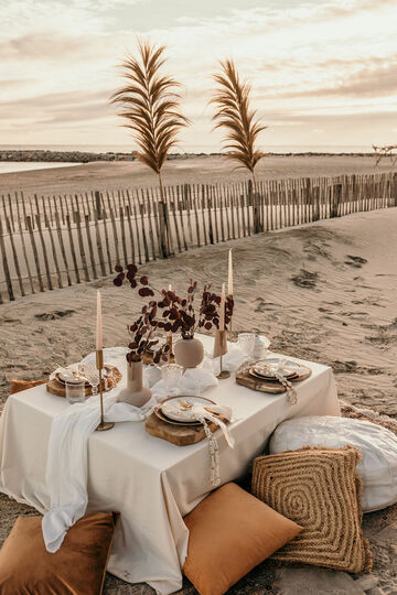 Fleurs séchées sur l'arche sur une plage dans l'Hérault