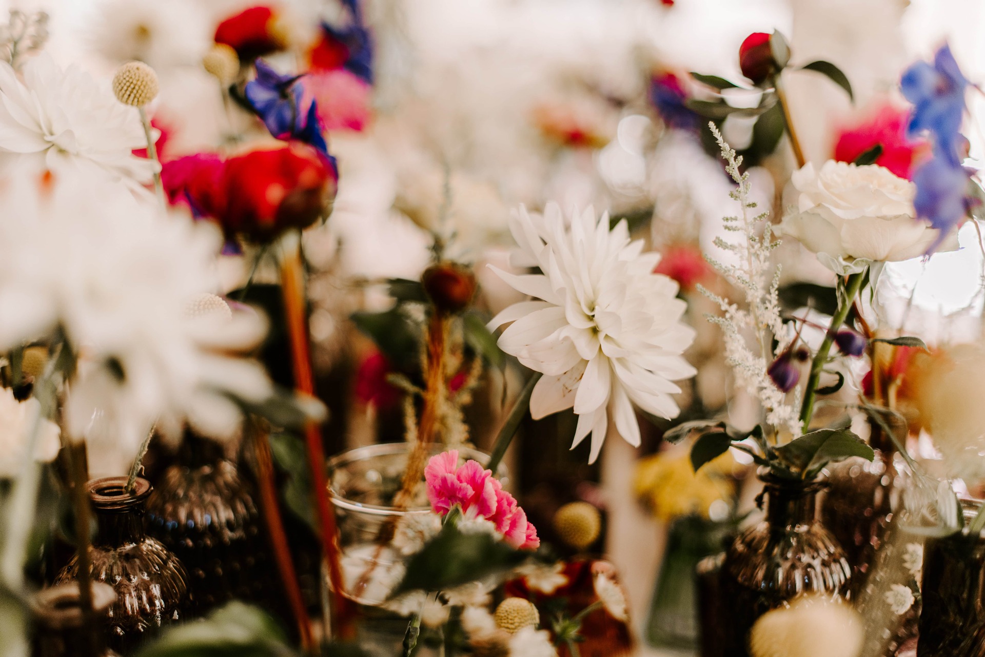 The Flower Shop Montpellier