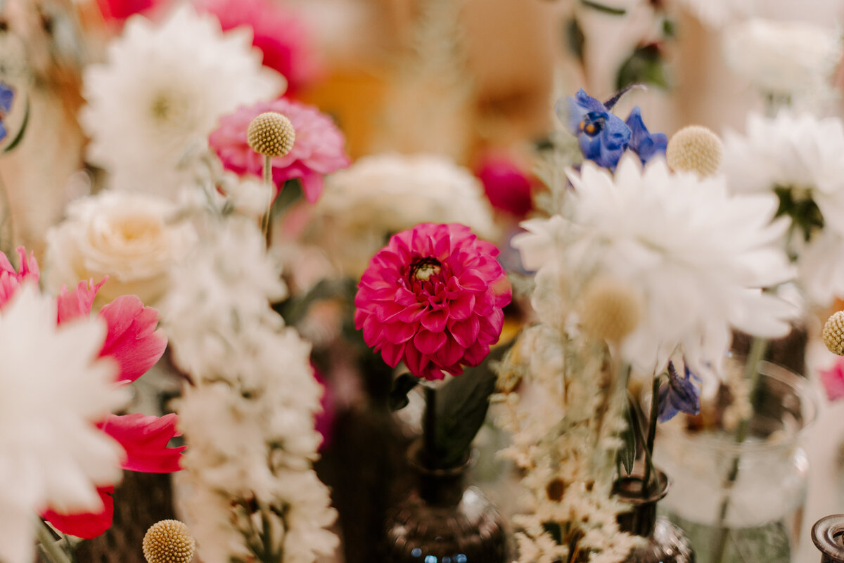 The Flower Shop - Fleuriste à Montpellier