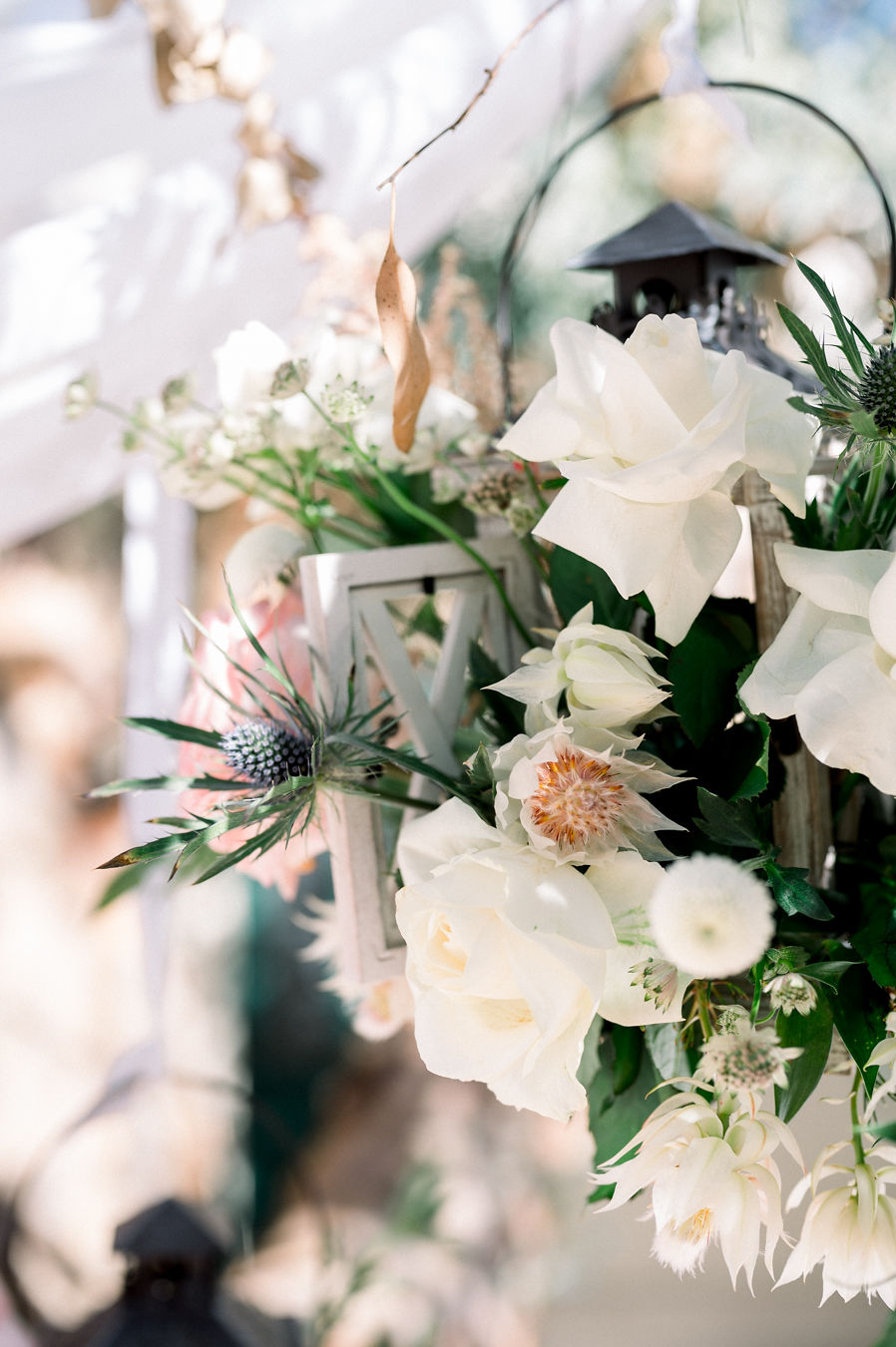 The Flower Shop - Fleuriste à Montpellier