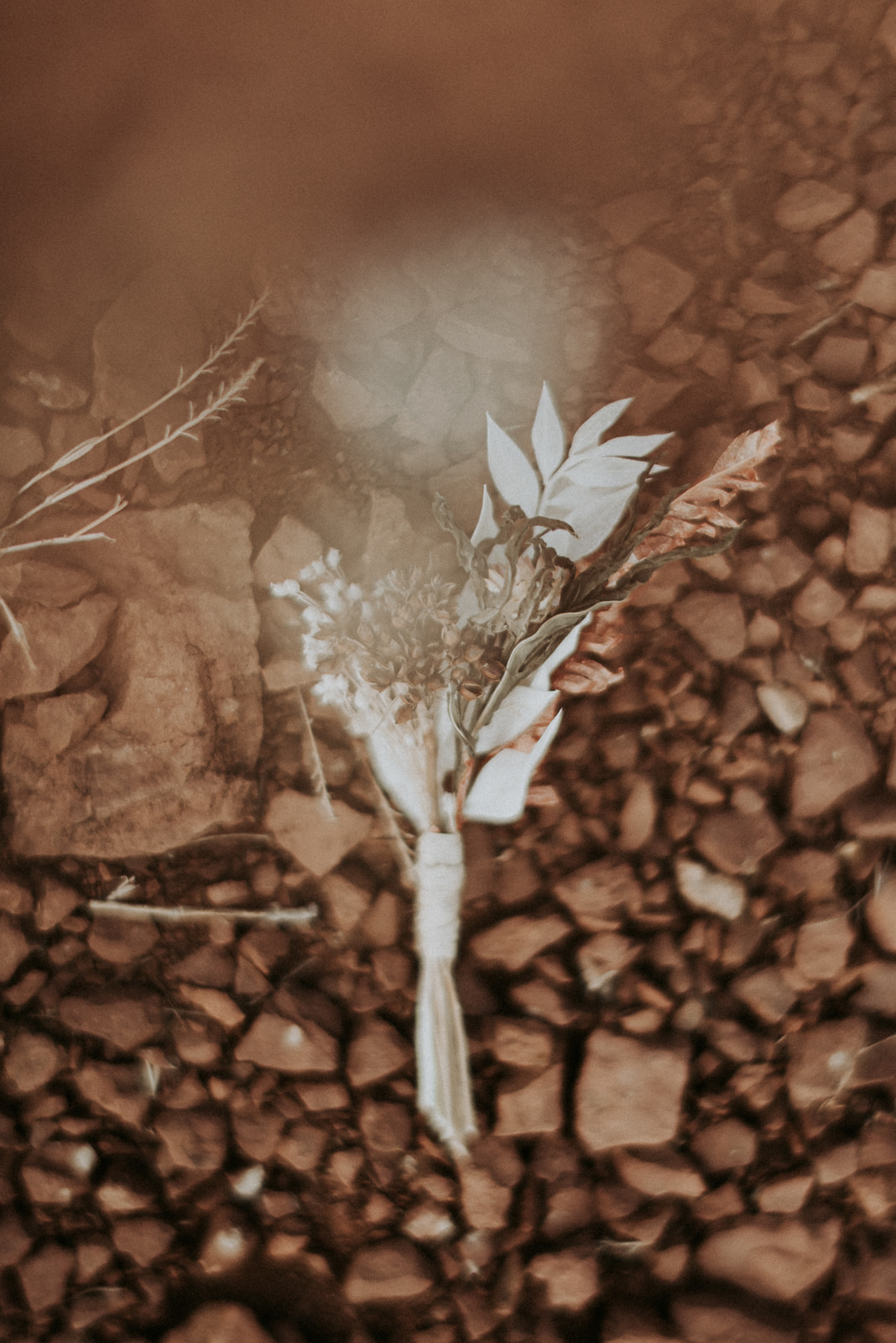 Séance photo fleurs séchées au Canyon Du Diable sur Terre Rouge