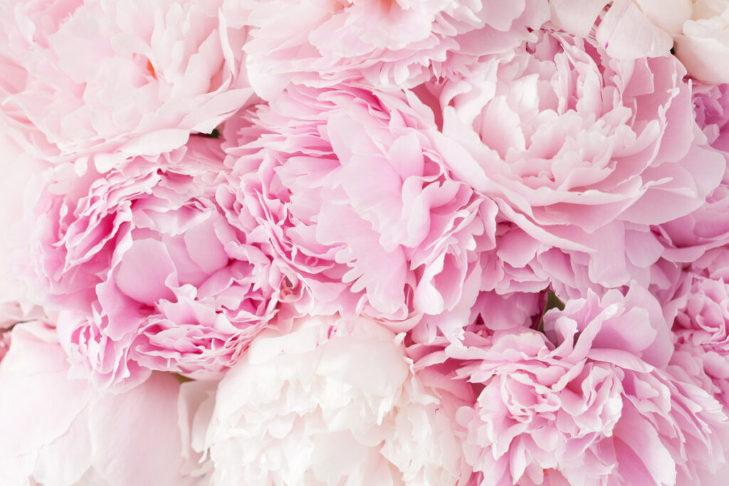 Pourquoi les fleurs locales sont importantes : soutenir la floriculture française