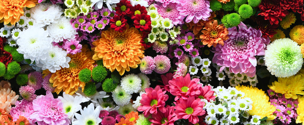 Les meilleurs marchés aux fleurs de Provence pour les fleurs de Février