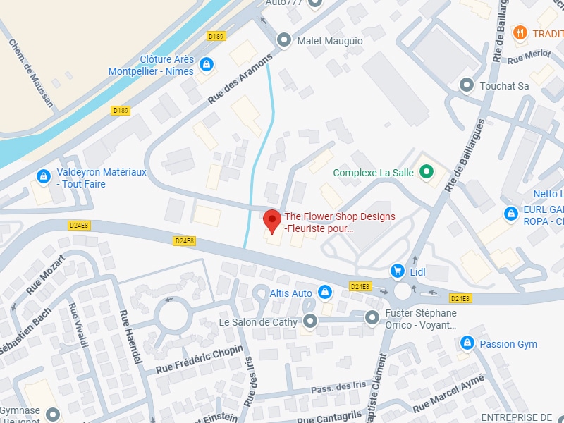 The Flower Shop Designs : Carte et Accès Fleuriste Carte de la zone avec le repère rouge indiquant 'The Flower Shop Designs - Fleuriste pour...' près de la D24E8 et des commerces comme Lidl et Complexe La Salle.