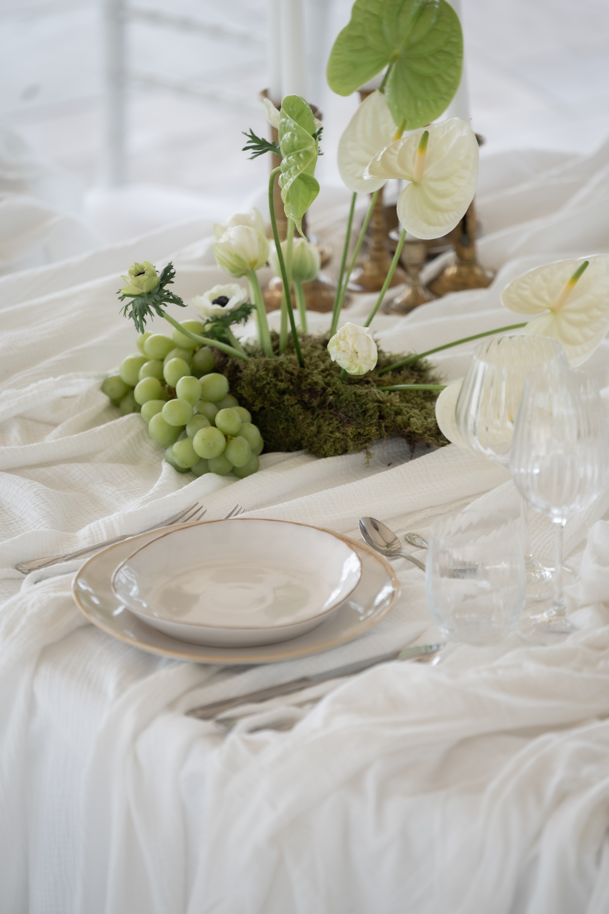 Séance photo de fleurs au Domaine Puech Haut