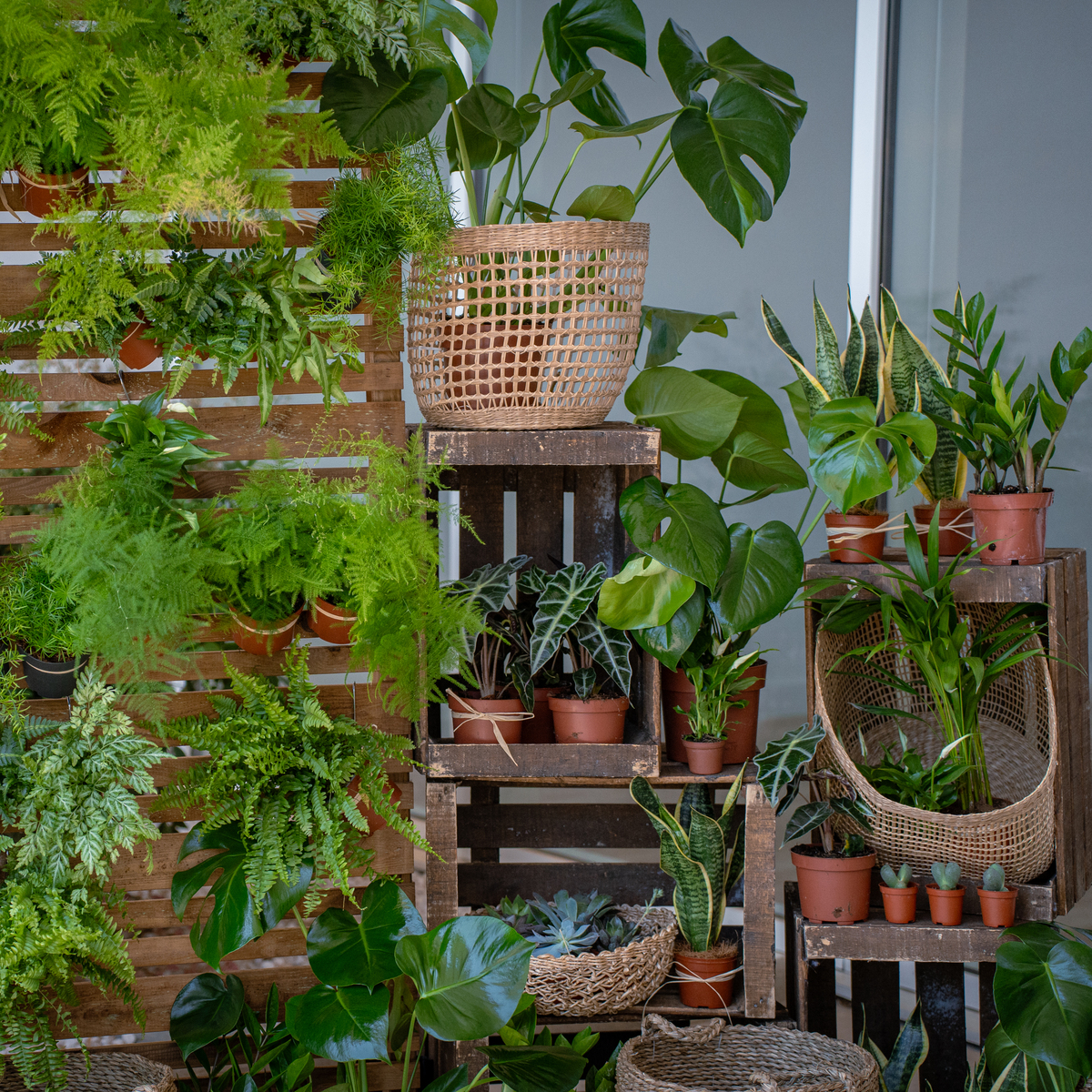 Un mur végétal pour vos évènements d&rsquo;entreprise à Montpellier