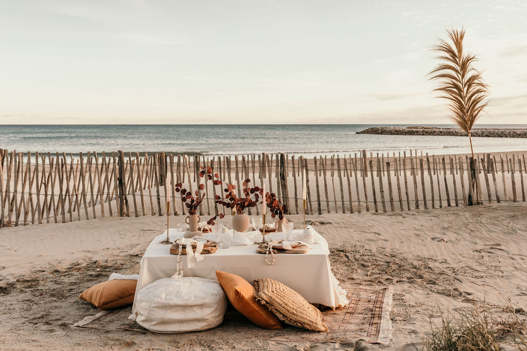 Fleurs séchées sur l&rsquo;arche sur une plage dans l&rsquo;Hérault