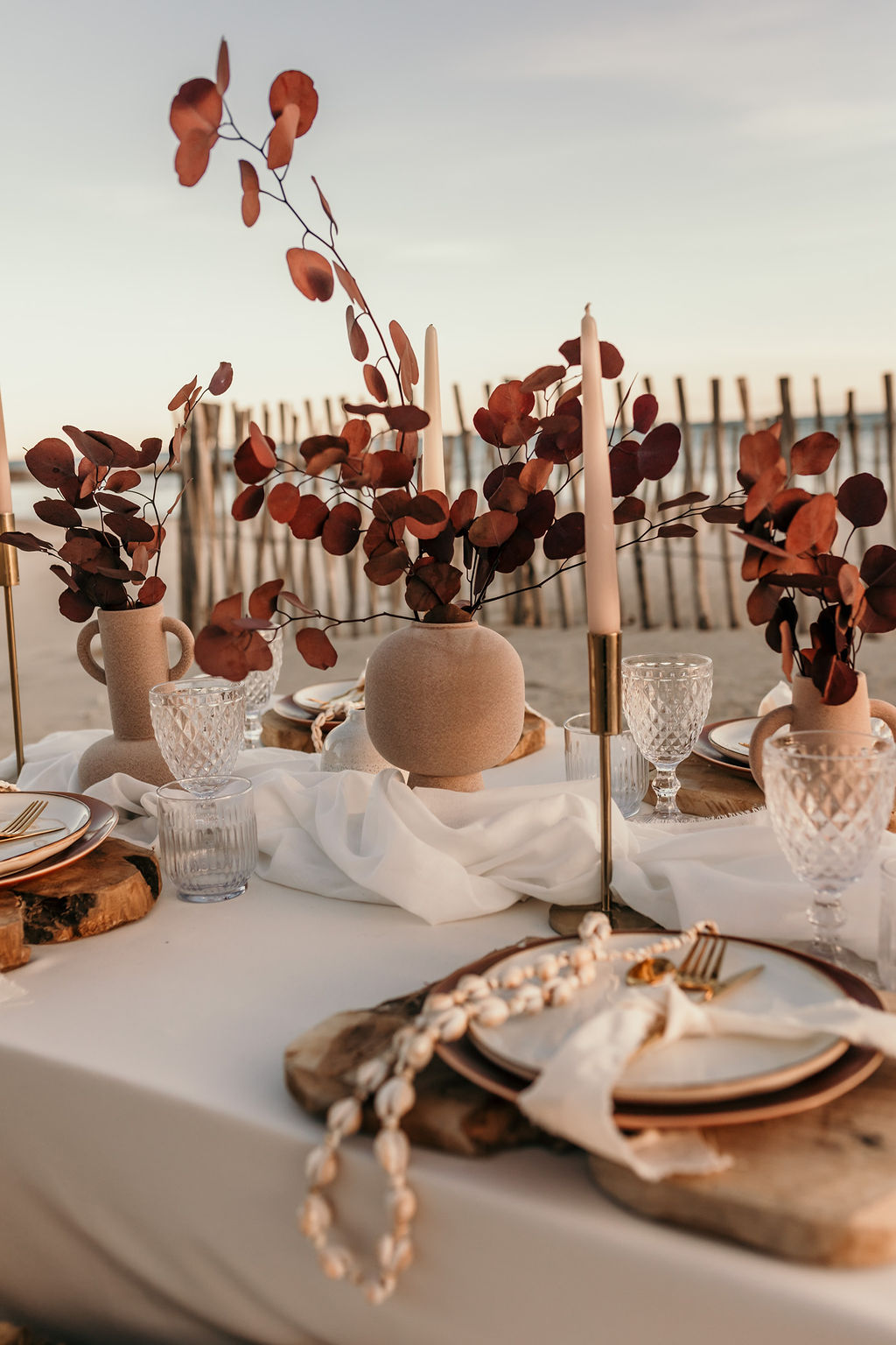Fleurs séchées sur l&rsquo;arche sur une plage dans l&rsquo;Hérault