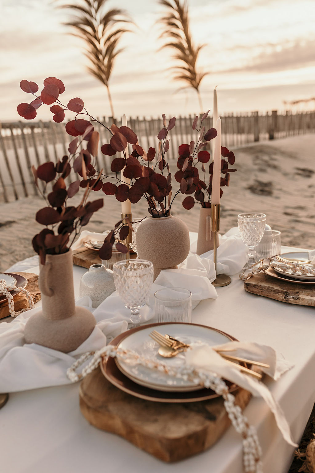 Fleurs séchées sur l&rsquo;arche sur une plage dans l&rsquo;Hérault
