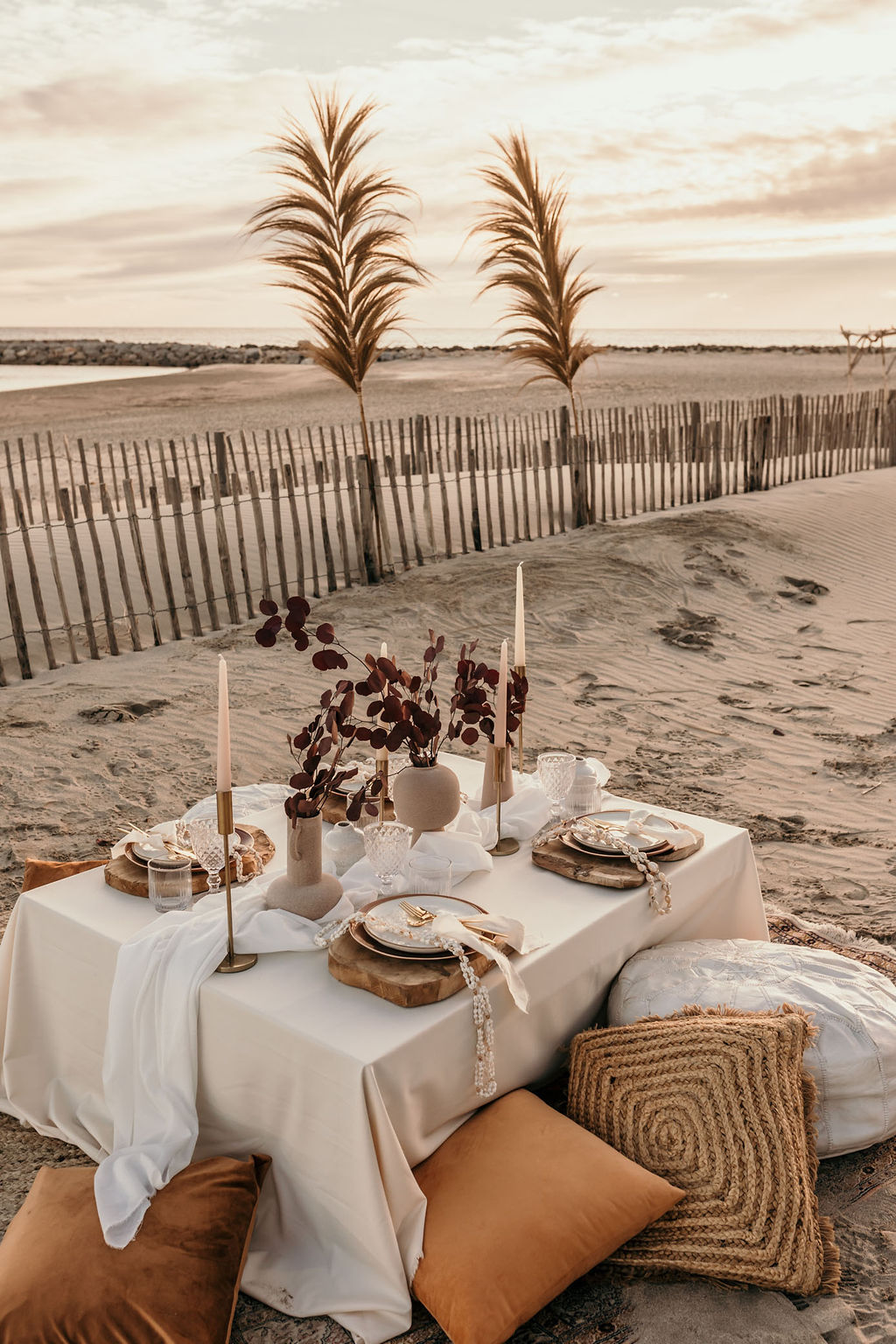 Fleurs séchées sur l&rsquo;arche sur une plage dans l&rsquo;Hérault
