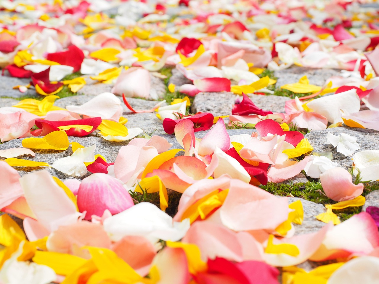 10 thèmes de mariage d’avril spectaculaires avec des fleurs de saison