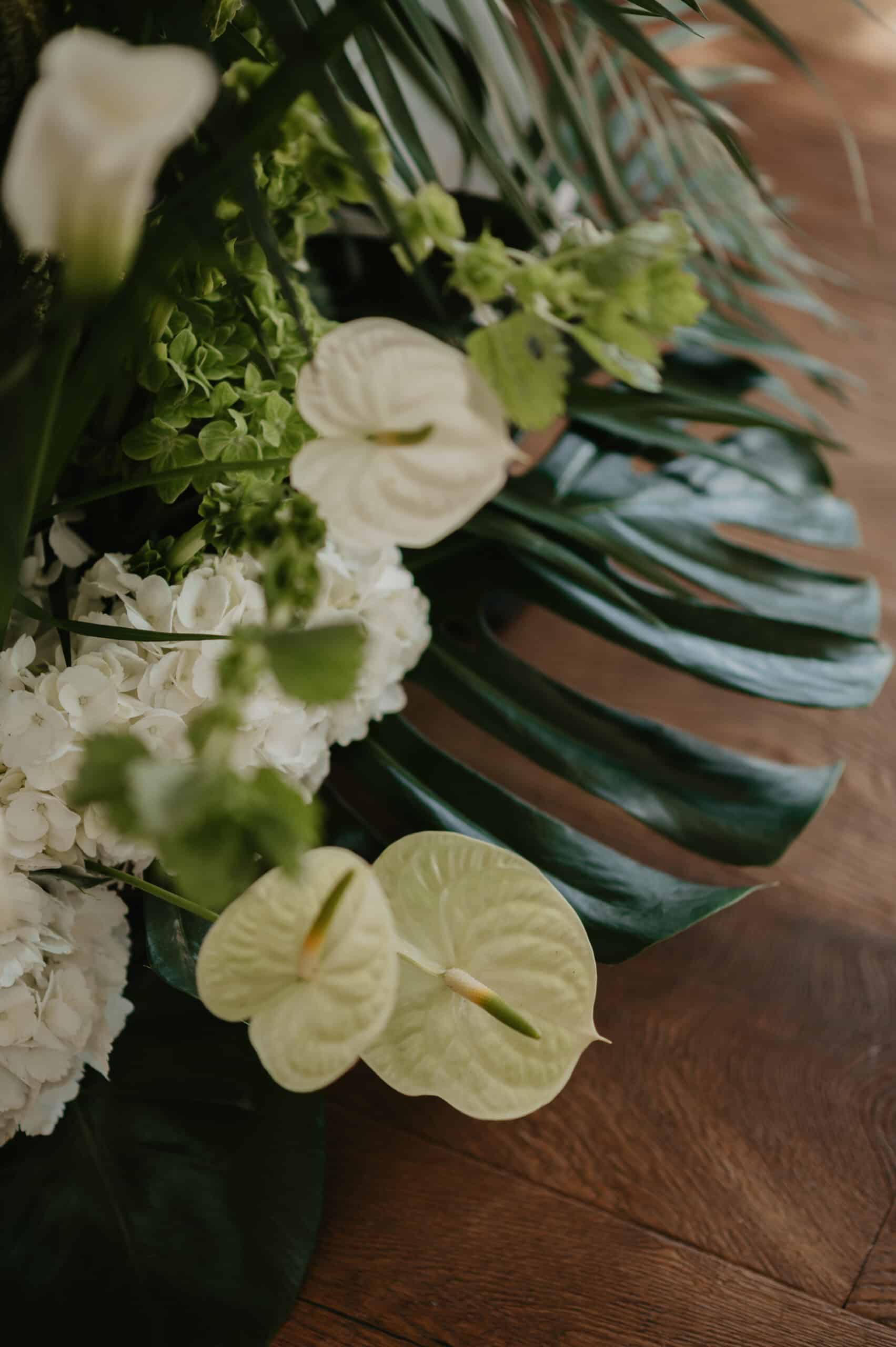 Composition florale élégante vert et blanc: anthuriums, hortensias blancs luxuriants et feuillage tropical Monstera sur bois foncé.